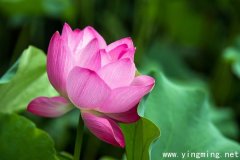 岳麓區(qū)網(wǎng)站的建設如何進行